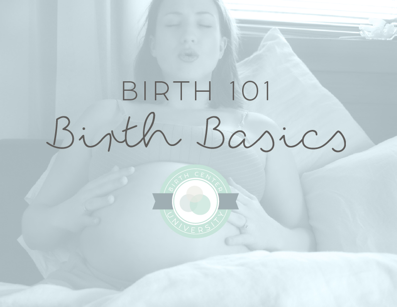 WF Birth Event Birth 101